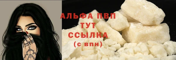 ПСИЛОЦИБИНОВЫЕ ГРИБЫ Белоозёрский