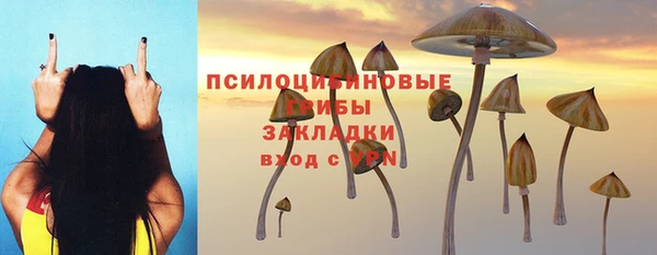 ПСИЛОЦИБИНОВЫЕ ГРИБЫ Белоозёрский