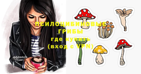 мдма Богородицк