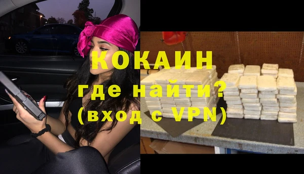 ECSTASY Богданович