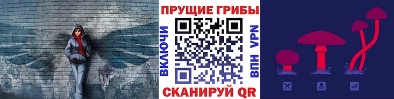 Псилоцибиновые грибы мицелий Полесск